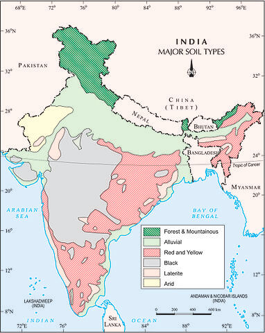 印度主要土壤类型